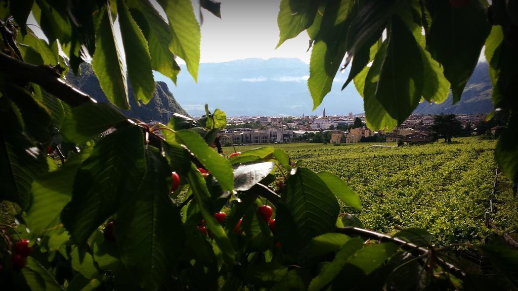 Hotel Rentschnerhof Bolzano Dış mekan fotoğraf