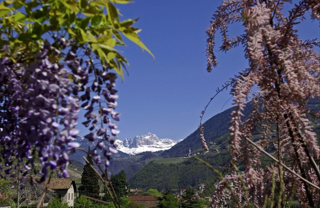 Hotel Rentschnerhof Bolzano Dış mekan fotoğraf