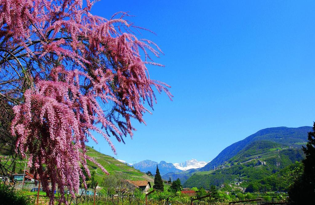 Hotel Rentschnerhof Bolzano Dış mekan fotoğraf